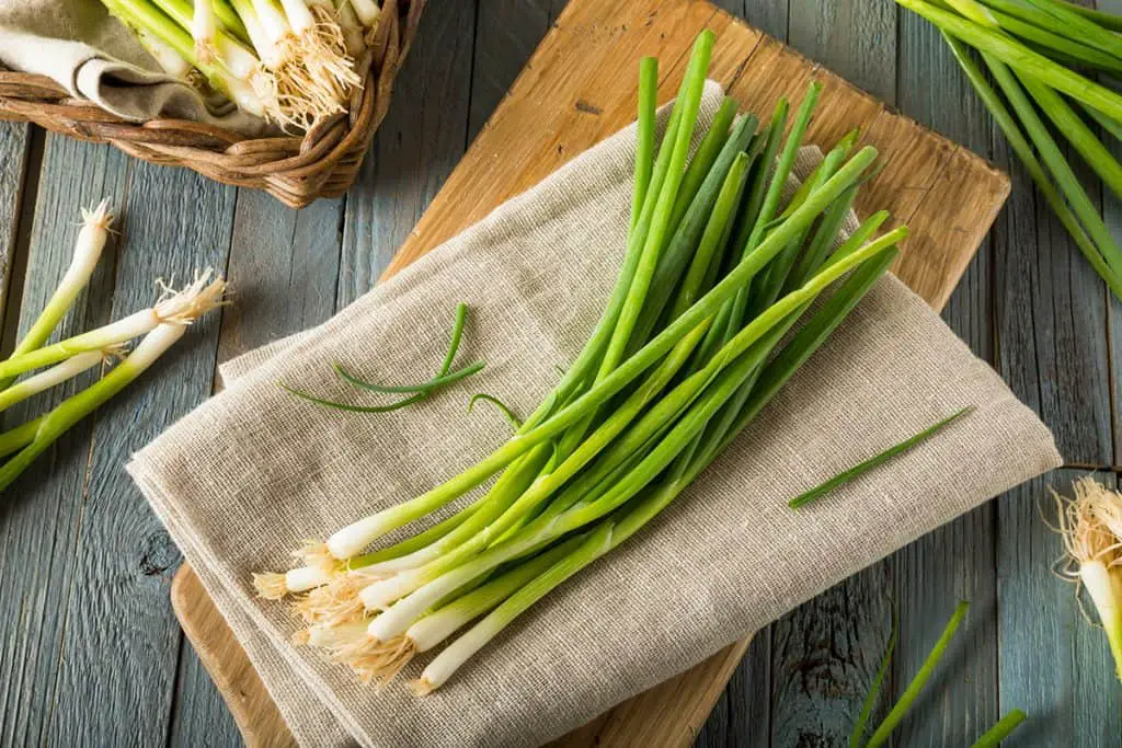 How to Freeze Green Onions (What You Need to Know)