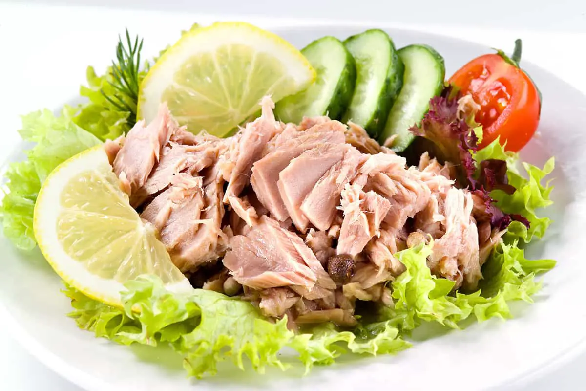 The Right Way to Freeze Tuna Salad (Explained) Easy Freezing