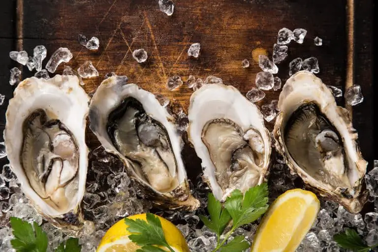 Freezing Oysters The Right Way (5 Easy Steps)