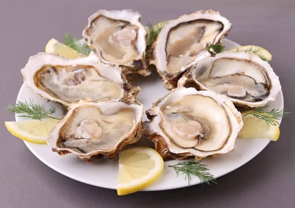 Fresh raw oysters on the half-shell.