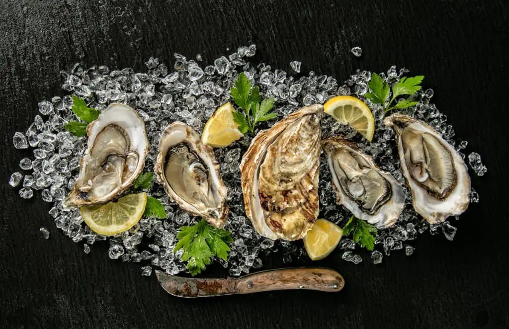 How to freeze oysters for later consumption.