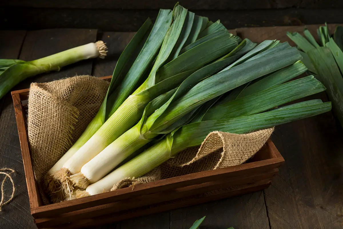 3 Simple Steps to Freeze Leeks (The Ultimate Guide) Easy Freezing