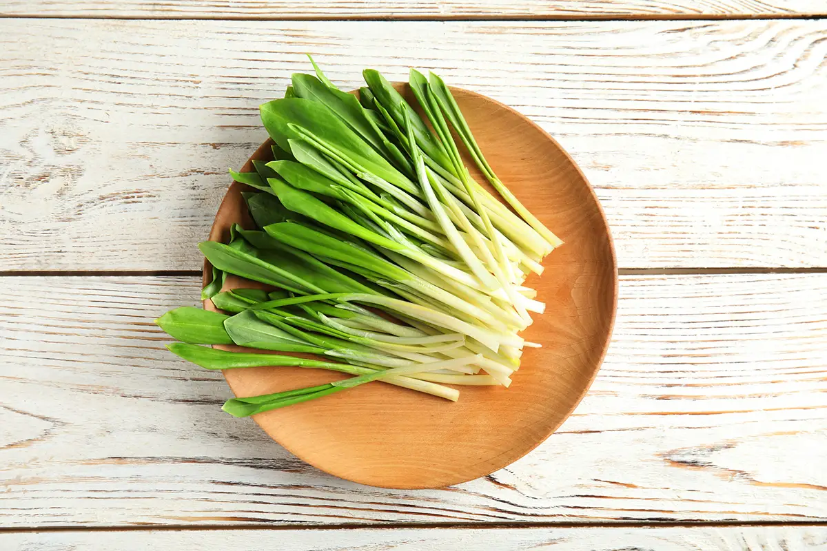 3-simple-steps-to-freeze-leeks-the-ultimate-guide-easy-freezing