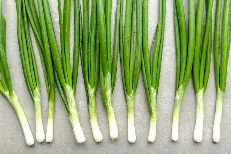 3 Simple Steps to Freeze Leeks (The Ultimate Guide) Easy Freezing