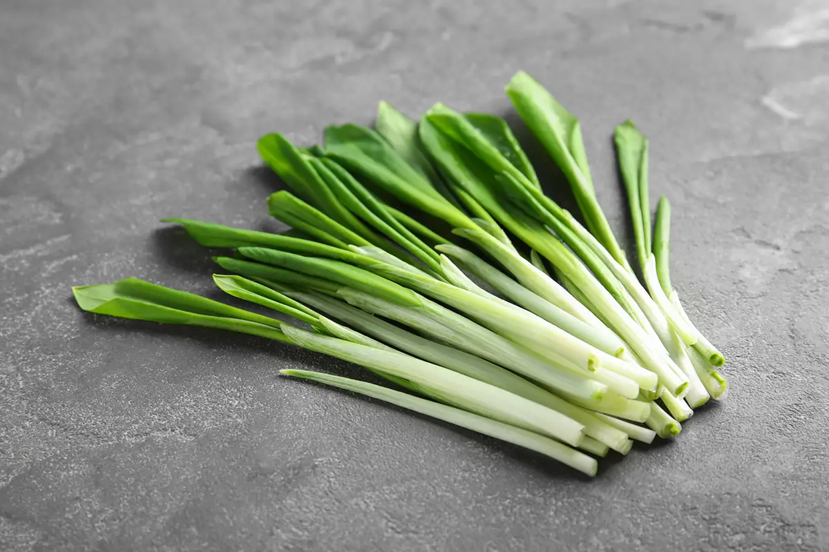 3 Simple Steps to Freeze Leeks (The Ultimate Guide) Easy Freezing
