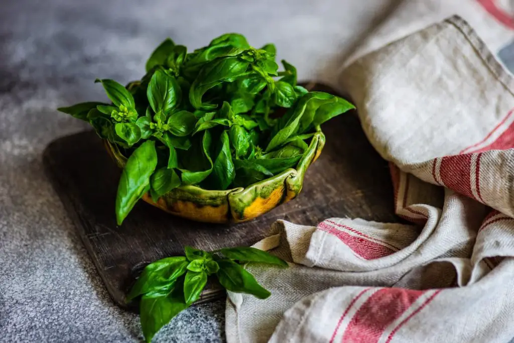 The Shelf Life of Frozen Basil Leaves