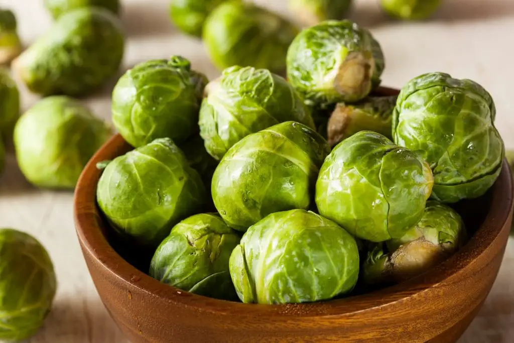 Can You Freeze Raw Brussel Sprouts?