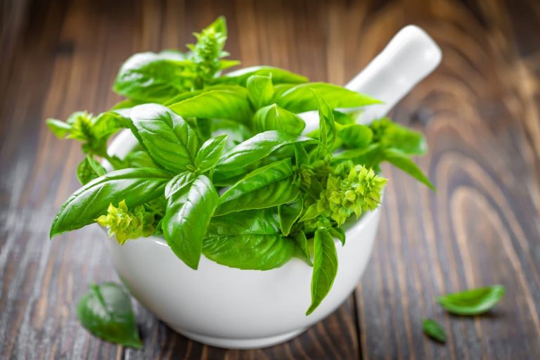 4 Easy Ways to Freeze Fresh Basil Leaves (Step-by-Step)