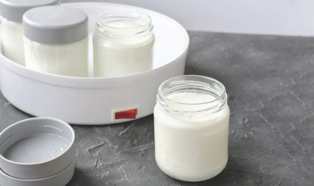 How Long Can Greek Yogurt Stay In the Freezer?
