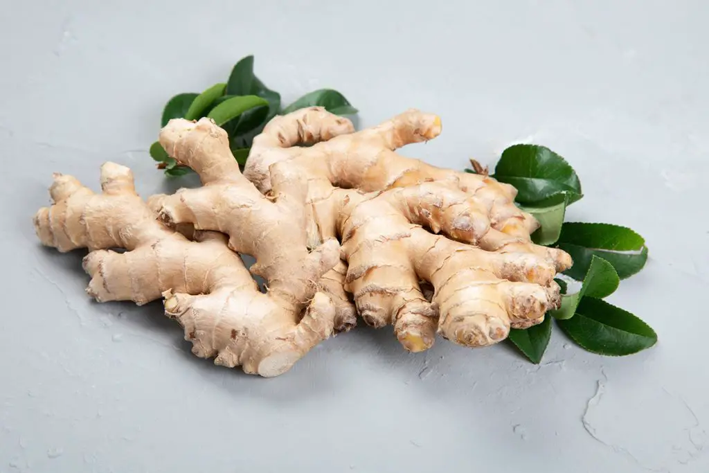 Fresh ginger root can be frozen to store.