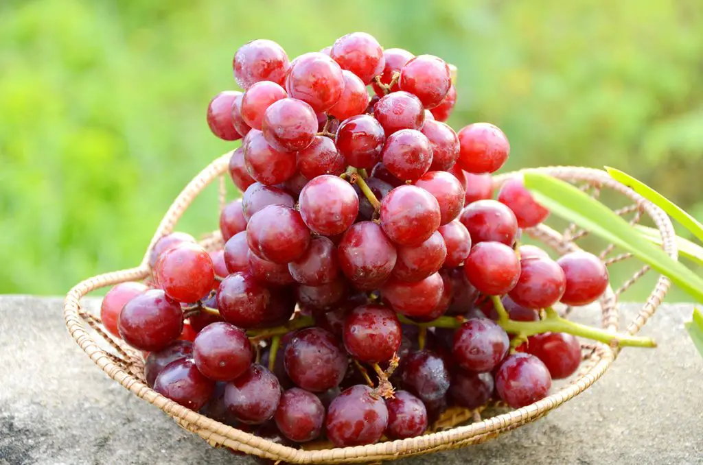 How Do You Thaw Frozen Grapes?