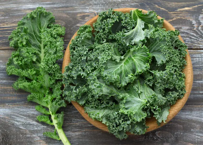 A bowl of fresh kale can be frozen to last longer