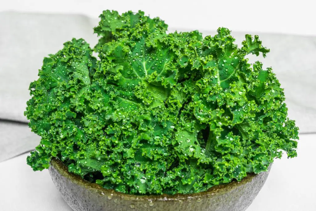 Fresh kale can easily be frozen