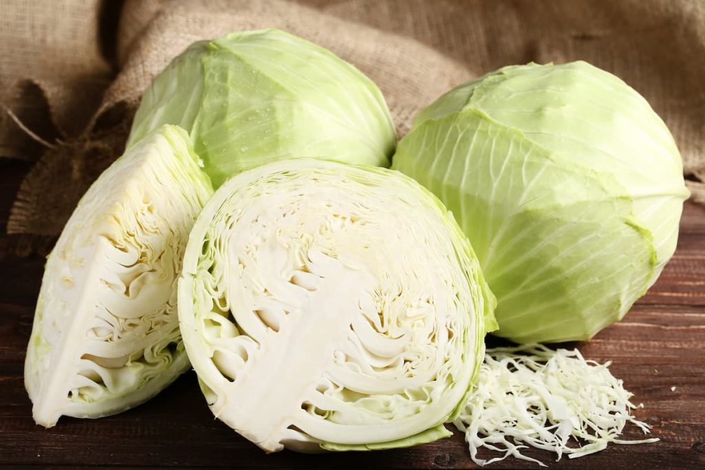 You can freeze uncooked cabbage in 5 steps