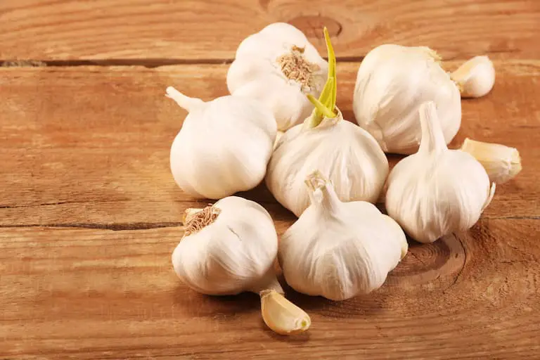 What Is the Best Way To Prepare Garlic for Freezing?