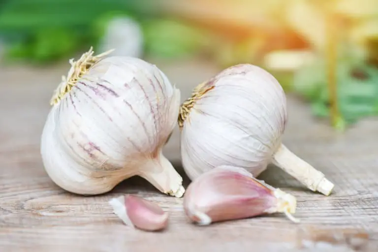 How Long Can Garlic Last in the Freezer?