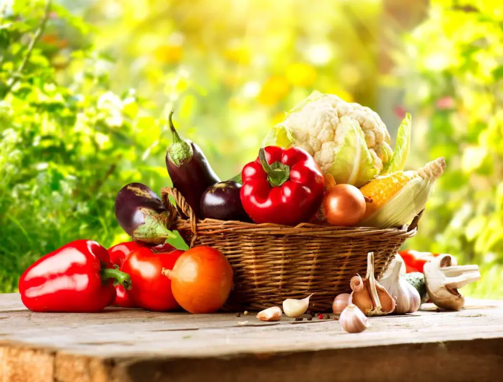 Can you freeze vegetables: basket of veggies for freezing