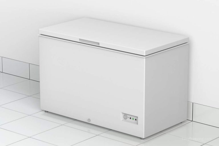 Difference Between Freezer and Refrigerator (Freezer or Fridge) Easy