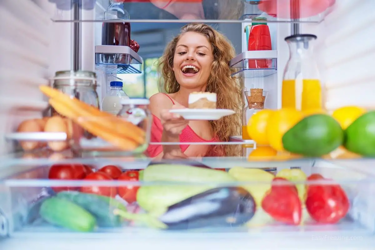 Refrigerator storage: Difference between freezer and fridge