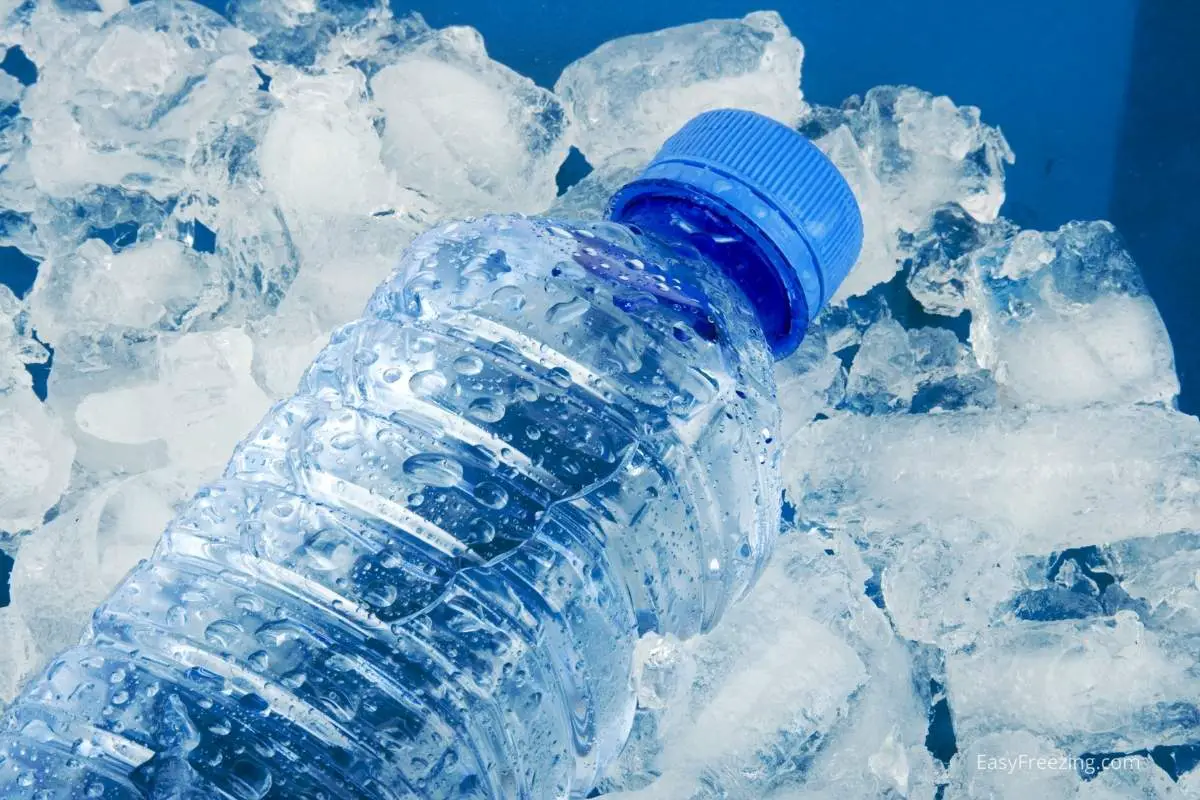 Frozen Water: Does freezing kill bacteria in water