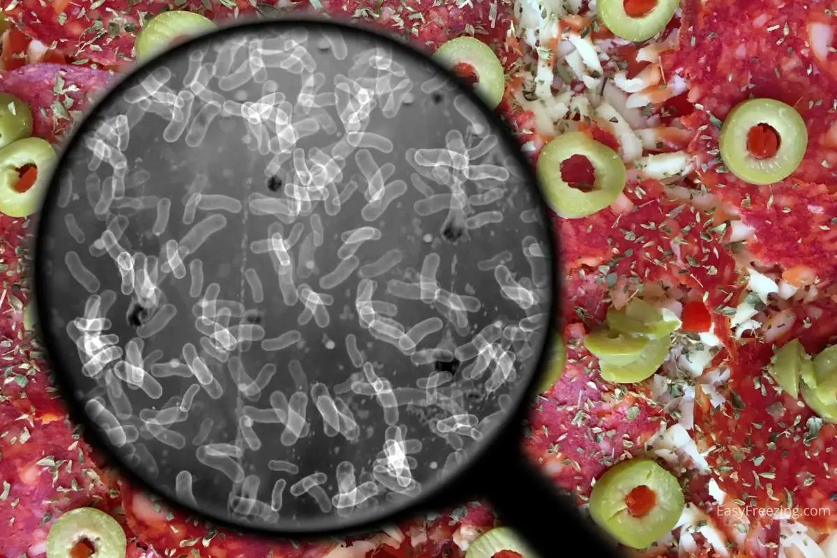 Bacteria on pizza: does freezing kill bacteria
