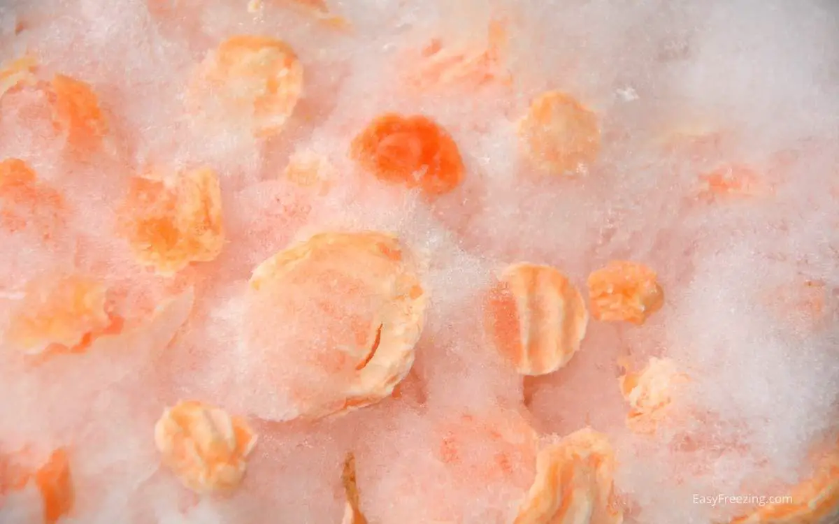 What Freezer Burn Tastes Like & How To Eliminate The Flavor Easy Freezing