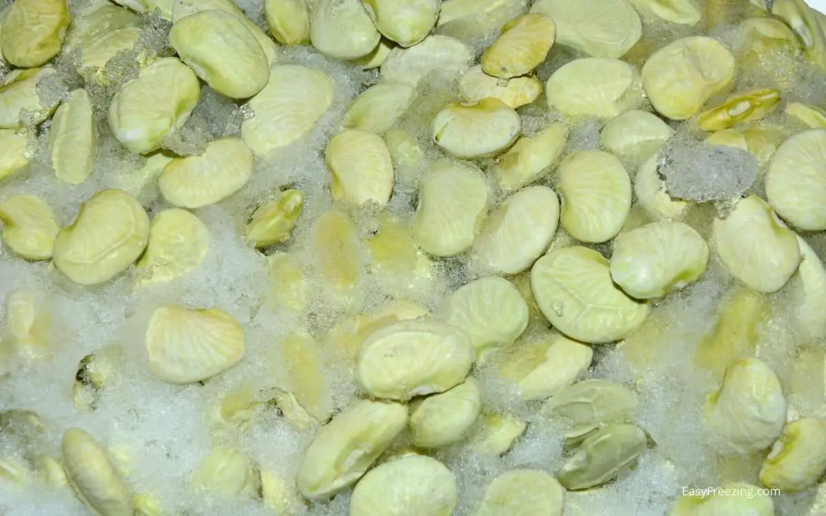 Freezer burn lima beans: How Can You Prevent Freezer Burn