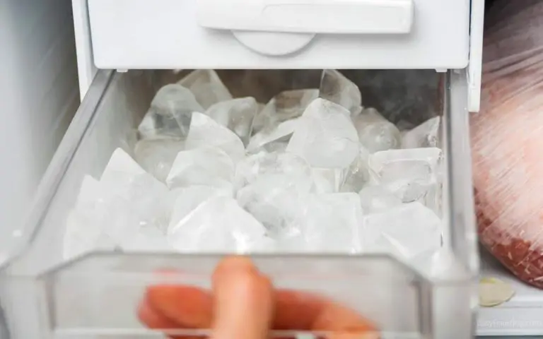 How to Properly Clean a Freezer Ice Maker (10 Simple Steps)