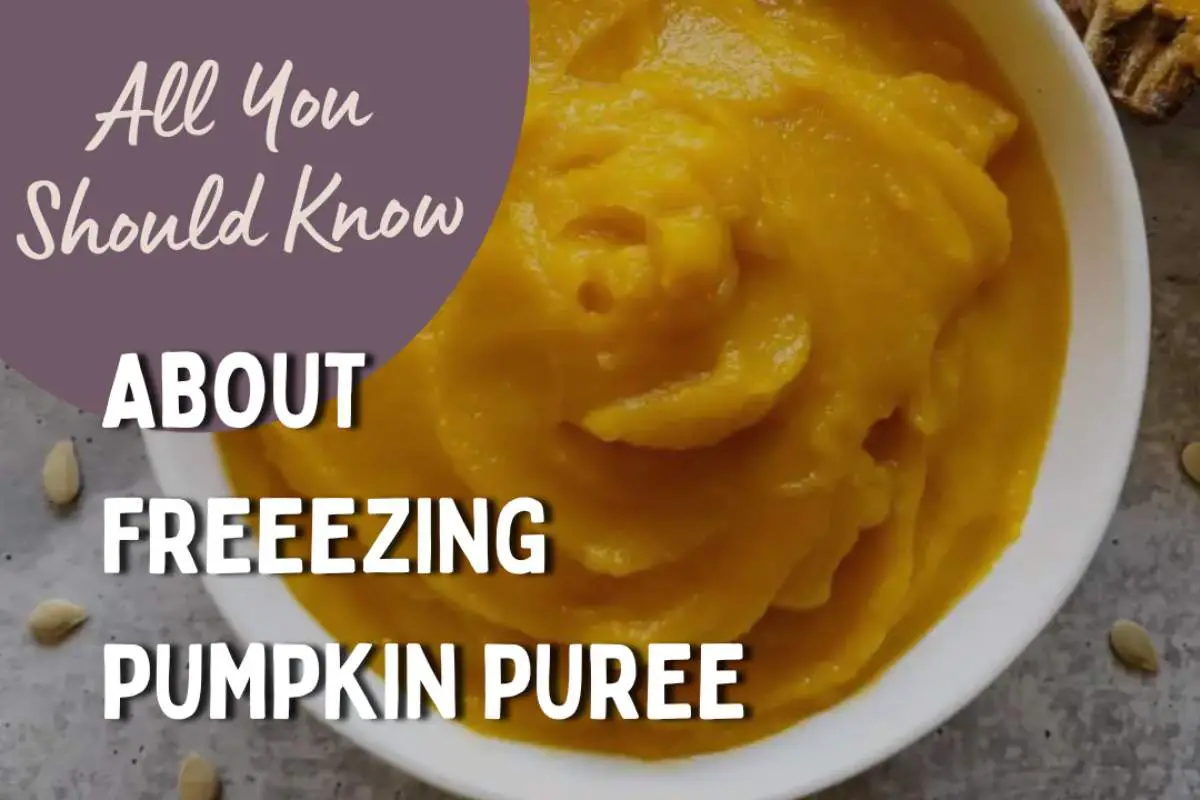 Can you freeze pumpkin puree