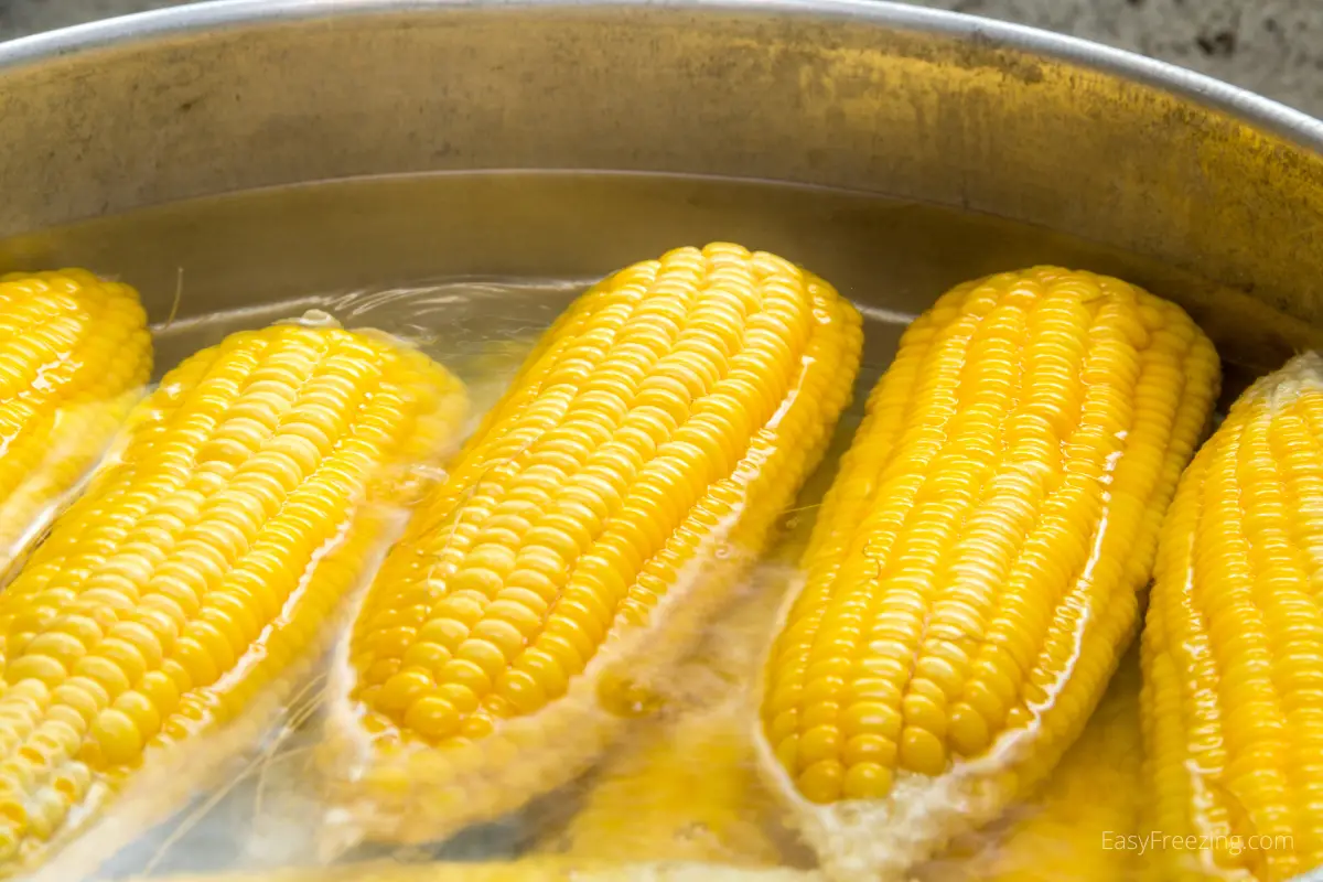 Blanching corn on the cob