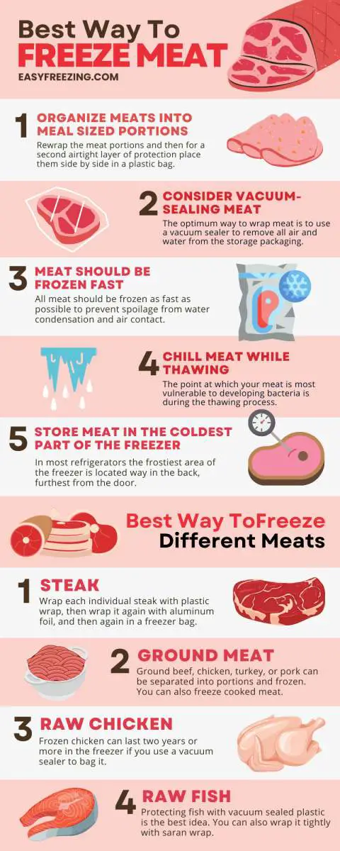 Best way to freeze meat infographic