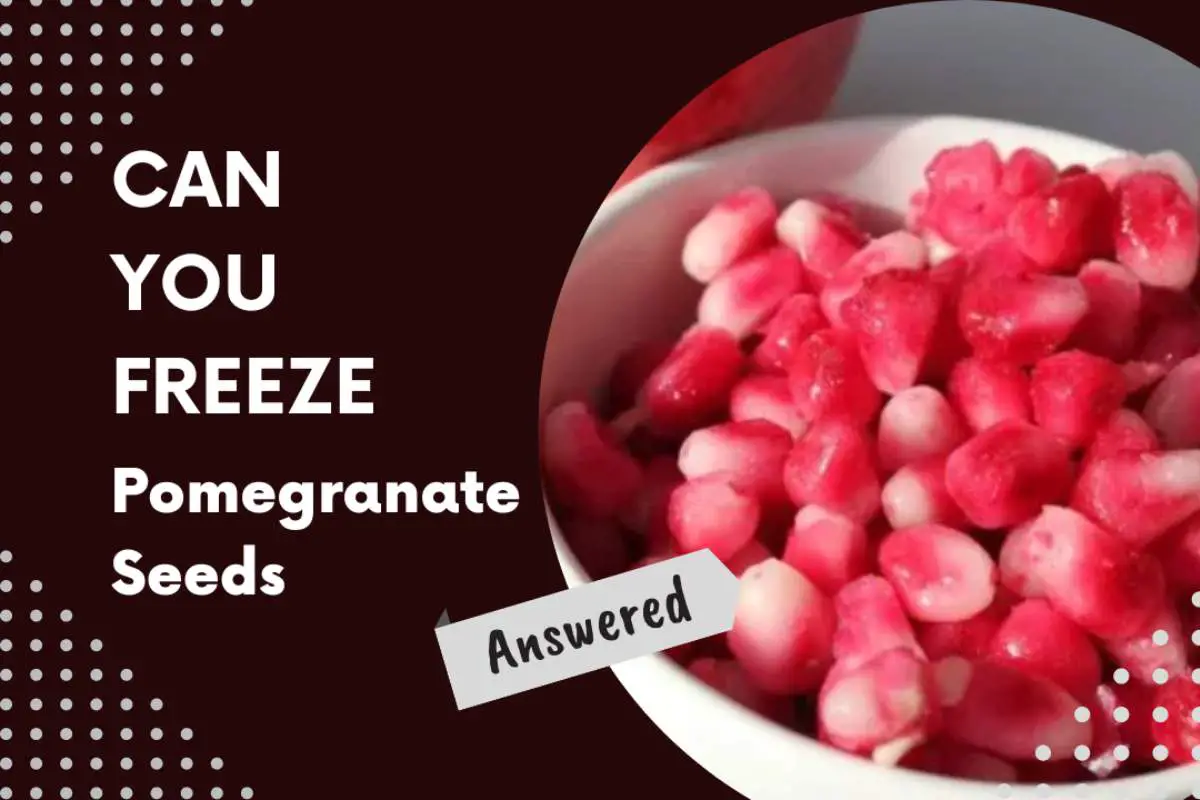 Can You Freeze Pomegranate Seeds