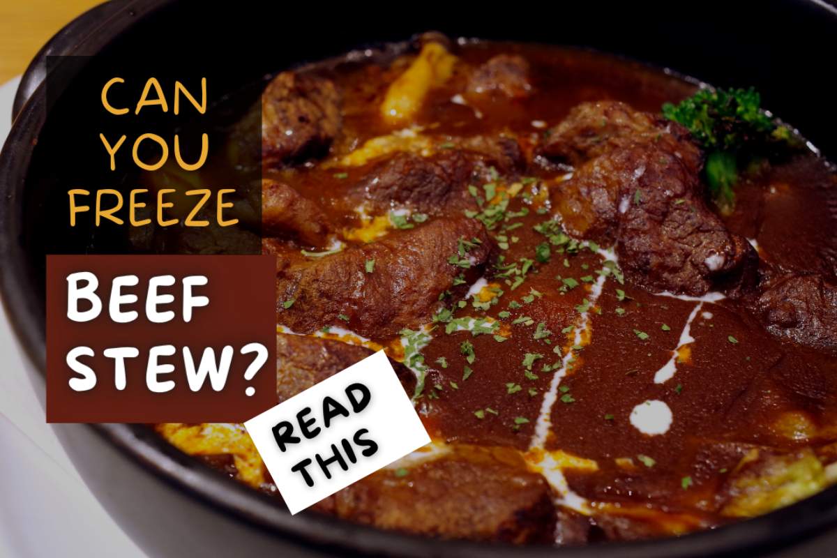Can you freeze Beef Stew