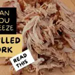 Can You Freeze Pulled Pork? (Easy Guide)