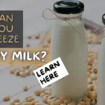 Can You Freeze Soy Milk? (Yes...Here's How!)
