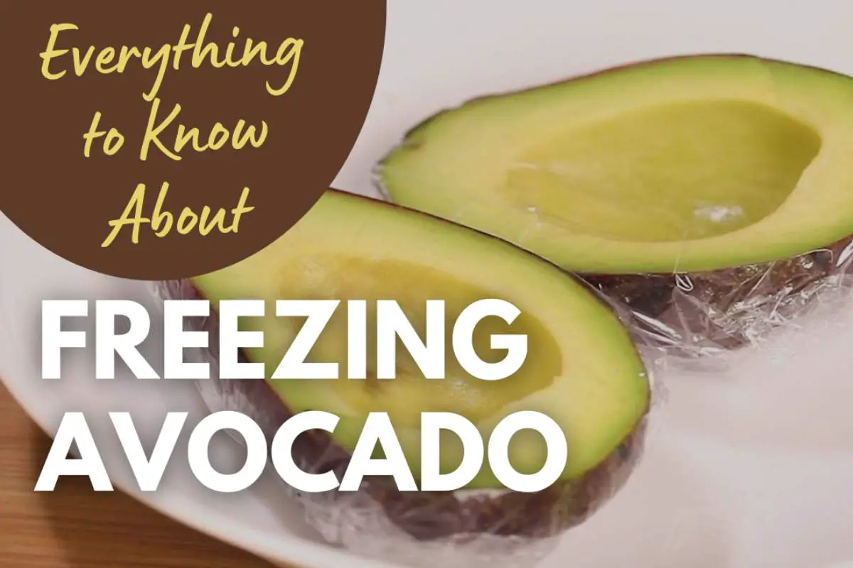 Everything to Know about Freezing avocado