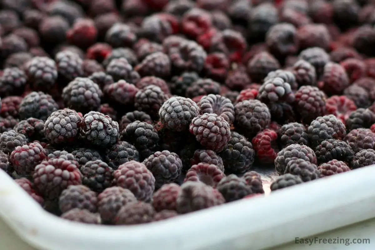  Freeze Raspberries On A Tray