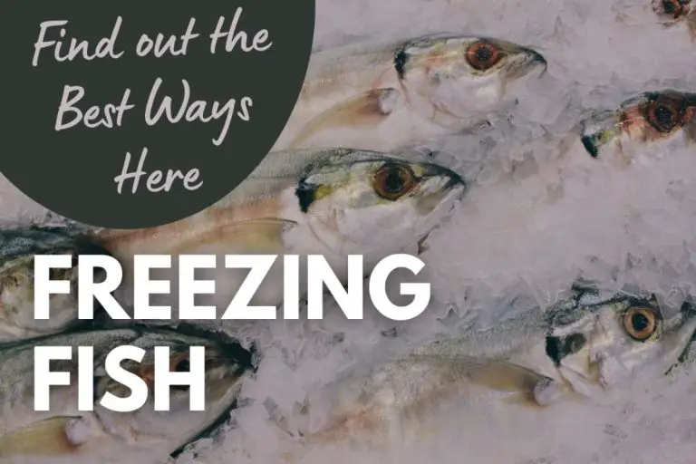 Freezing Fish The Right Way (Find Out Here)