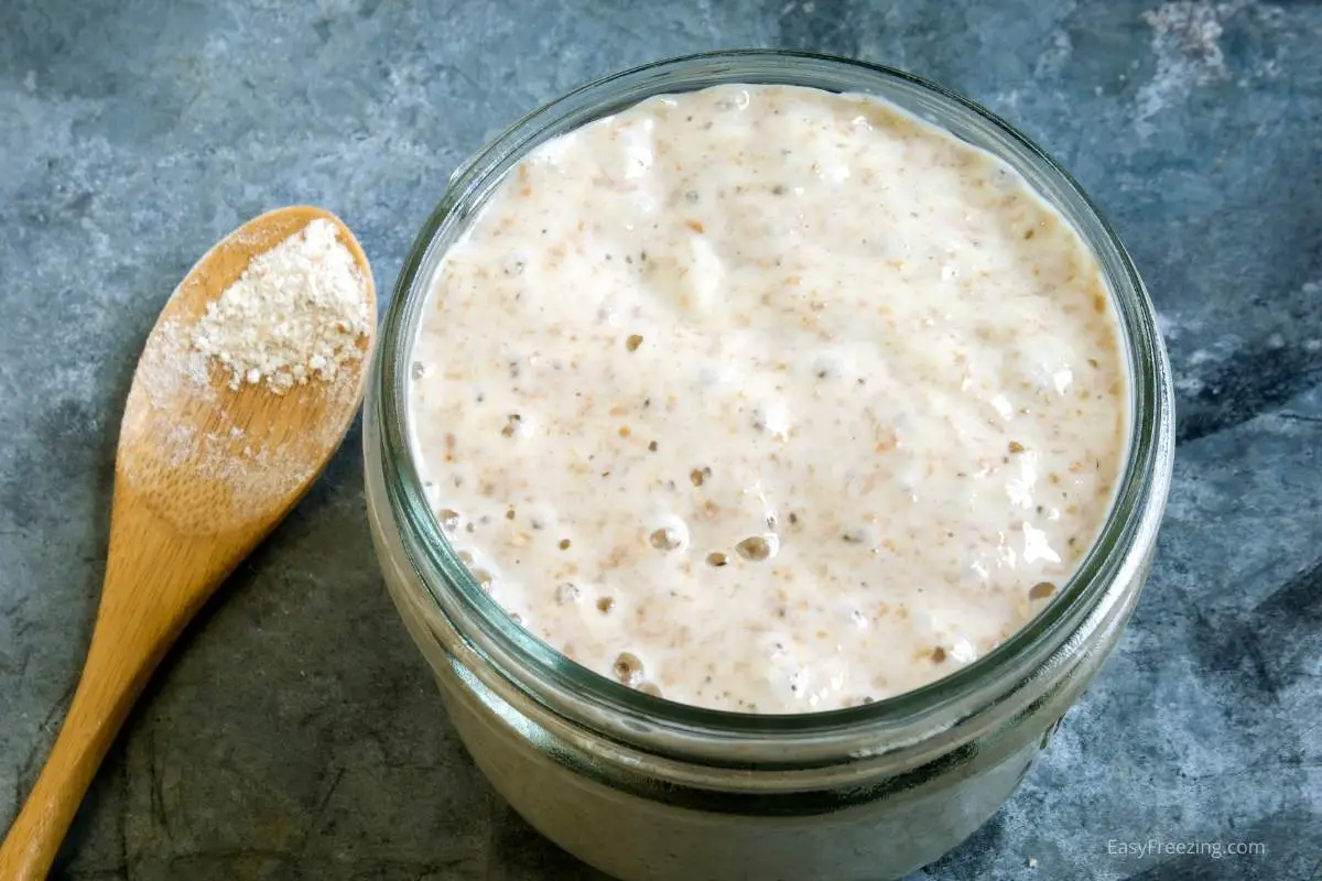 Freezing Sourdough Starter