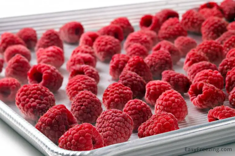 What It Means to “Flash Freeze” Food (Explained) Easy Freezing