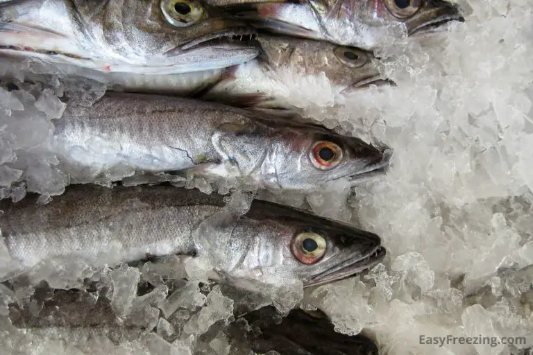Freezing Fish The Right Way (Find Out Here) Easy Freezing