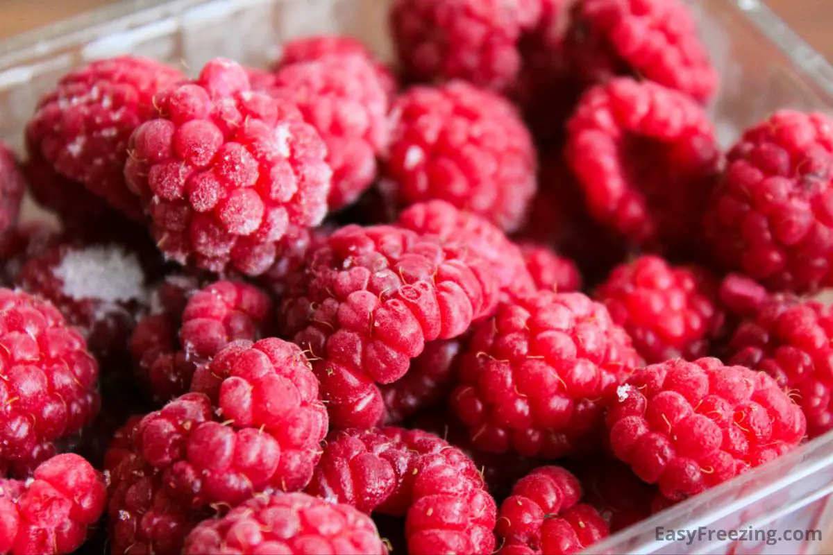 How To Freeze Raspberries