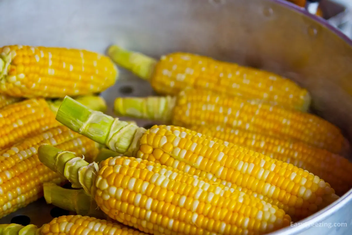 How To Freeze Unblanched Corn on the Cob