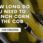 How Long To Blanch Corn On The Cob For Freezing (Read This)