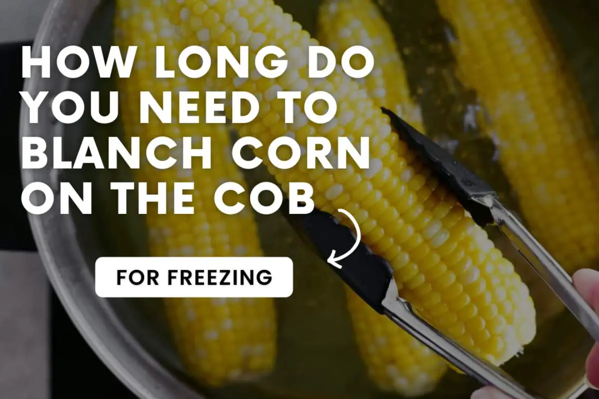How long do you need to blanch corn on the cob for freezing