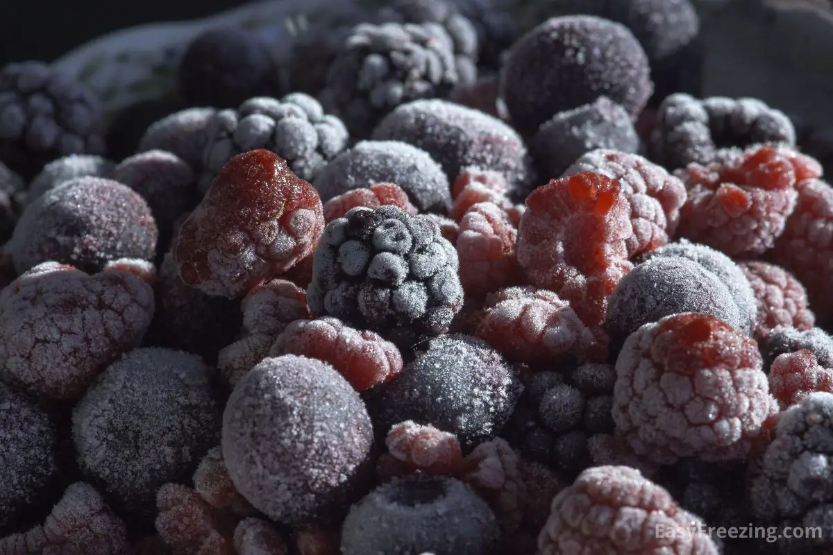 3 Different Ways To Flash Freeze Food