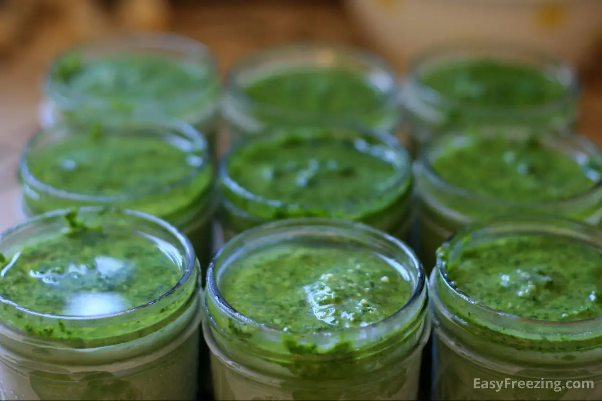 Ways to Use Frozen Pesto