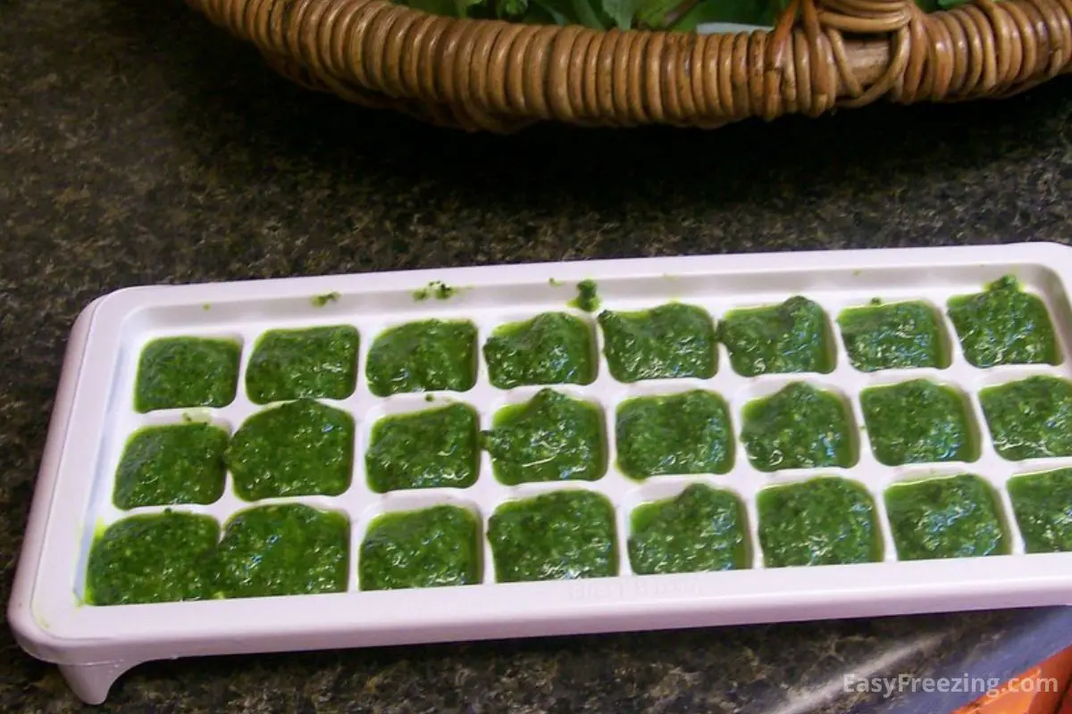 freezing pesto in ice cube trays