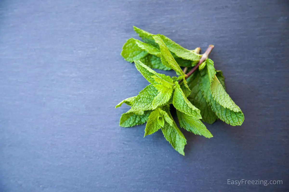 freezing mint leaves