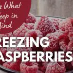 Freezing Raspberries (A Quick & Easy Guide)